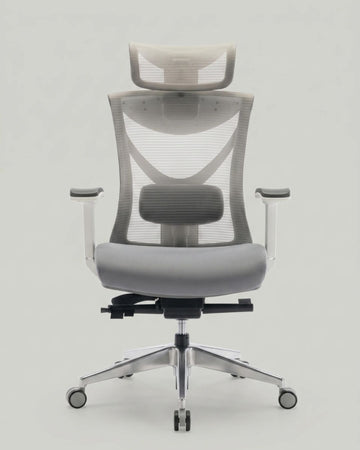 Sync Ergonomic Chair